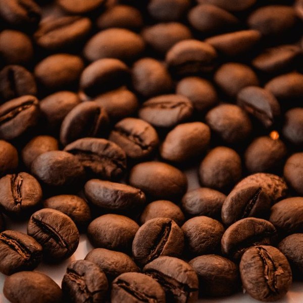 Coffee bean storage canister