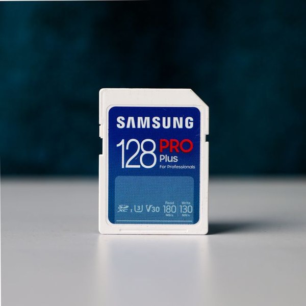 Portable SD card reader