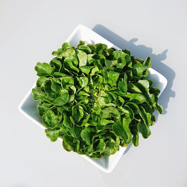 Salad spinner compact